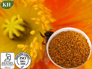 Bee Pollen, Bee Pollen Extract, Protein