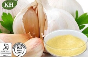 Kingherbs′ 100% Natural Garlic Extract: Allicin 0.6%, 0.8%, 1%, 2%