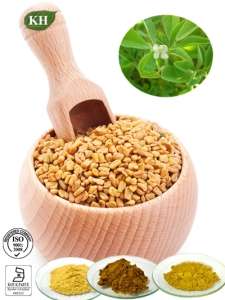 Fenugreek Seed Extract, Fenugreek Saponins 50%, Furostanol Saponins 50%